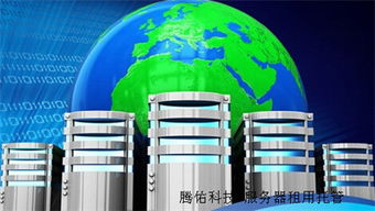 河南100M服务器租用指南 价格解析与优质服务商推荐